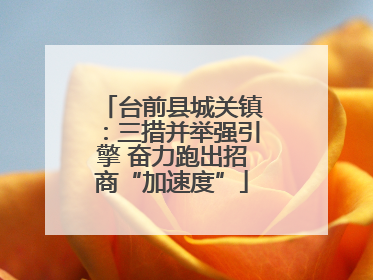 台前县城关镇：三措并举强引擎 奋力跑出招商“加速度”