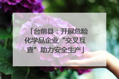 台前县：开展危险化学品企业“交叉互查”助力安全生产