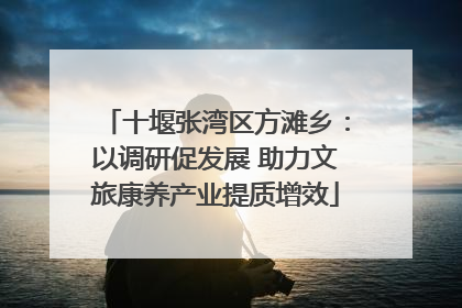 十堰张湾区方滩乡：以调研促发展 助力文旅康养产业提质增效