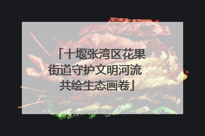 十堰张湾区花果街道守护文明河流 共绘生态画卷