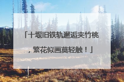 十堰旧铁轨邂逅夹竹桃，繁花似画莫轻触！