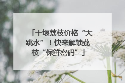 十堰荔枝价格“大跳水”！快来解锁荔枝“保鲜密码”