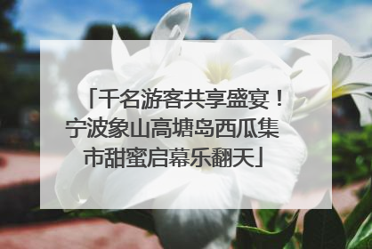 千名游客共享盛宴！宁波象山高塘岛西瓜集市甜蜜启幕乐翻天