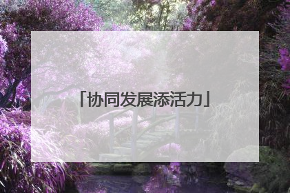 协同发展添活力