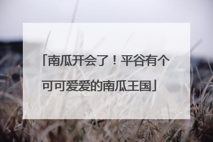 南瓜开会了！平谷有个可可爱爱的南瓜王国