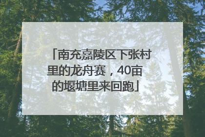 南充嘉陵区下张村里的龙舟赛，40亩的堰塘里来回跑