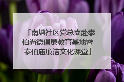 南塘社区党总支赴泰伯尚德倡廉教育基地暨泰伯庙廉洁文化课堂