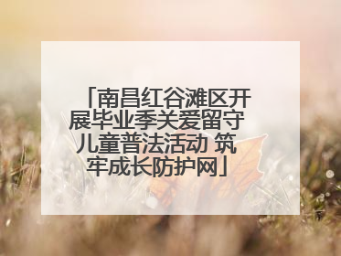 南昌红谷滩区开展毕业季关爱留守儿童普法活动 筑牢成长防护网