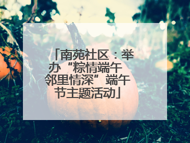 南苑社区：举办“粽情端午 邻里情深”端午节主题活动
