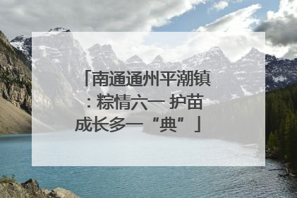 南通通州平潮镇：粽情六一 护苗成长多一“典”
