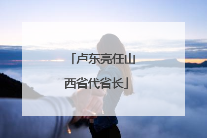 卢东亮任山西省代省长