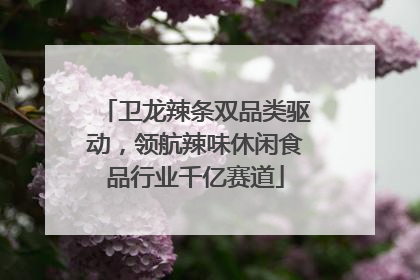 卫龙辣条双品类驱动，领航辣味休闲食品行业千亿赛道