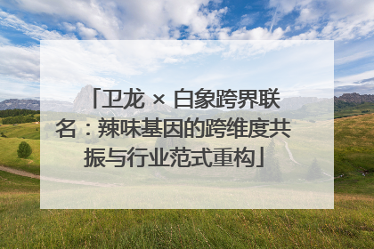 卫龙 × 白象跨界联名：辣味基因的跨维度共振与行业范式重构