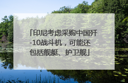 印尼考虑采购中国歼-10战斗机，可能还包括舰艇、护卫舰