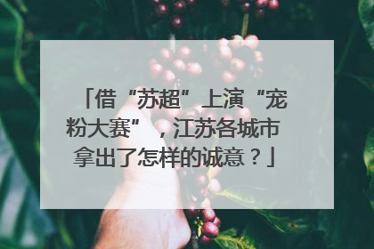 借“苏超”上演“宠粉大赛”，江苏各城市拿出了怎样的诚意？