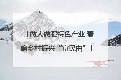 做大做强特色产业 奏响乡村振兴“富民曲”