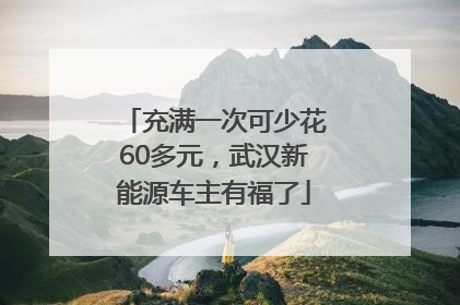 充满一次可少花60多元，武汉新能源车主有福了