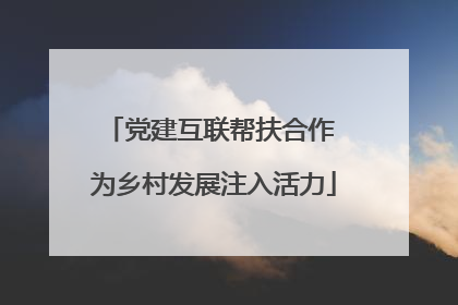 党建互联帮扶合作 为乡村发展注入活力