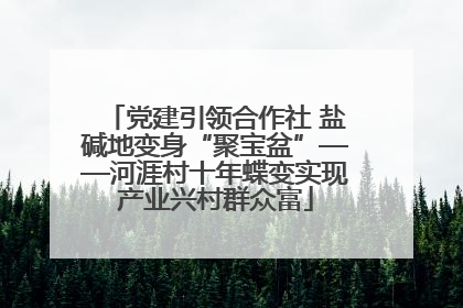 党建引领合作社 盐碱地变身“聚宝盆”——河涯村十年蝶变实现产业兴村群众富