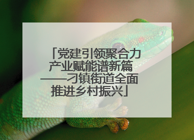 党建引领聚合力 产业赋能谱新篇——刁镇街道全面推进乡村振兴