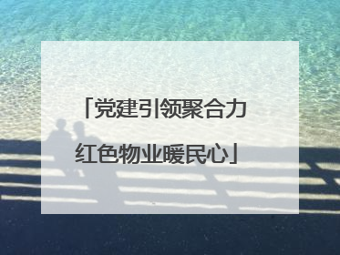党建引领聚合力 红色物业暖民心
