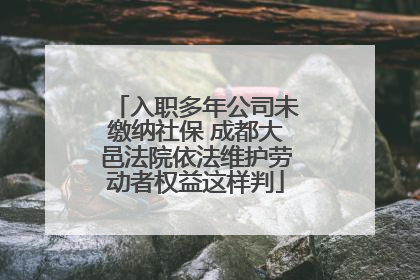 入职多年公司未缴纳社保 成都大邑法院依法维护劳动者权益这样判