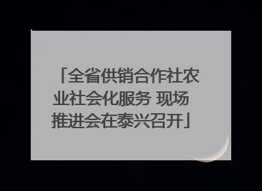全省供销合作社农业社会化服务 现场推进会在泰兴召开