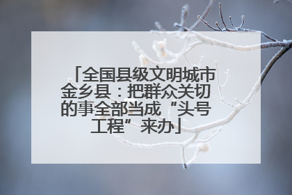全国县级文明城市金乡县：把群众关切的事全部当成“头号工程”来办