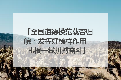 全国道德模范载誉归皖：发挥好榜样作用 扎根一线拼搏奋斗