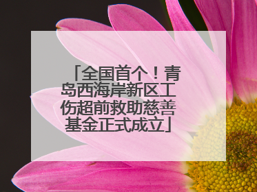 全国首个！青岛西海岸新区工伤超前救助慈善基金正式成立