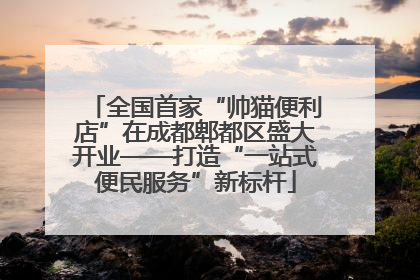 全国首家“帅猫便利店”在成都郫都区盛大开业——打造“一站式便民服务”新标杆
