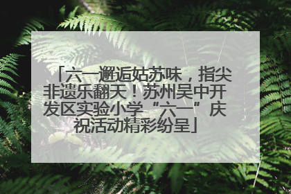 六一邂逅姑苏味，指尖非遗乐翻天！苏州吴中开发区实验小学“六一”庆祝活动精彩纷呈