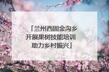 兰州西固金沟乡开展果树技能培训 助力乡村振兴