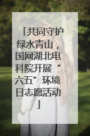 共同守护绿水青山，国网湖北电科院开展“六五”环境日志愿活动
