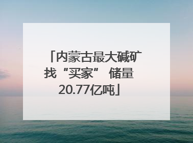 内蒙古最大碱矿找“买家” 储量20.77亿吨