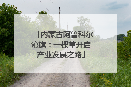 内蒙古阿鲁科尔沁旗：一棵草开启产业发展之路