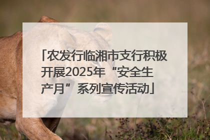 农发行临湘市支行积极开展2025年“安全生产月”系列宣传活动