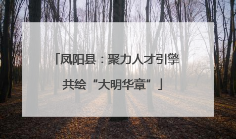 凤阳县：聚力人才引擎 共绘“大明华章”
