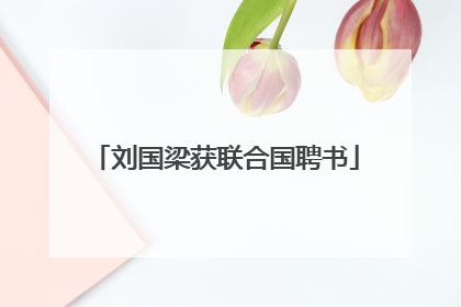 刘国梁获联合国聘书