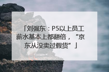 刘强东：P5以上员工薪水基本上都翻倍，“京东从没卖过假货”