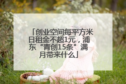 创业空间每平方米日租金不超1元，浦东“青创15条”满月带来什么