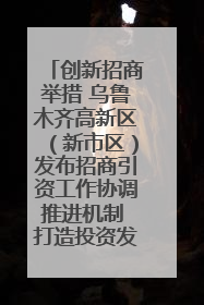 创新招商举措 乌鲁木齐高新区（新市区）发布招商引资工作协调推进机制 打造投资发展新高地