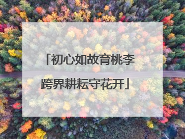 初心如故育桃李 跨界耕耘守花开