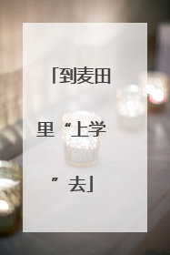 到麦田里“上学”去