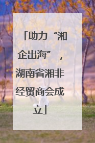助力“湘企出海”，湖南省湘非经贸商会成立