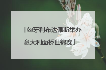匈牙利布达佩斯举办意大利面桥世锦赛