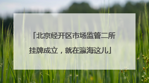 北京经开区市场监管二所挂牌成立，就在瀛海这儿