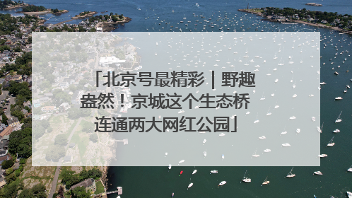 北京号最精彩｜野趣盎然！京城这个生态桥连通两大网红公园