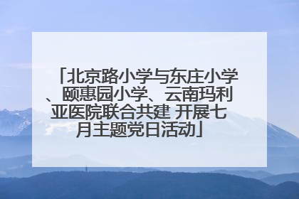 北京路小学与东庄小学、颐惠园小学、云南玛利亚医院联合共建 开展七月主题党日活动