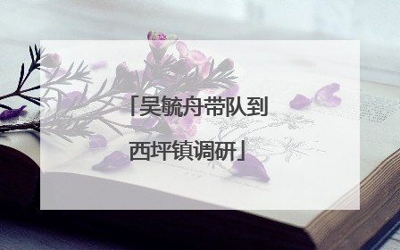 吴毓舟带队到西坪镇调研